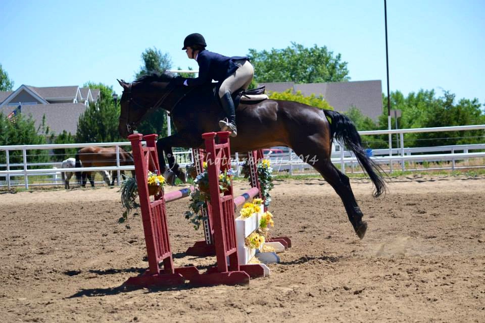 Banquet and Estes Park 2014 Colorado Hunter Jumper Association